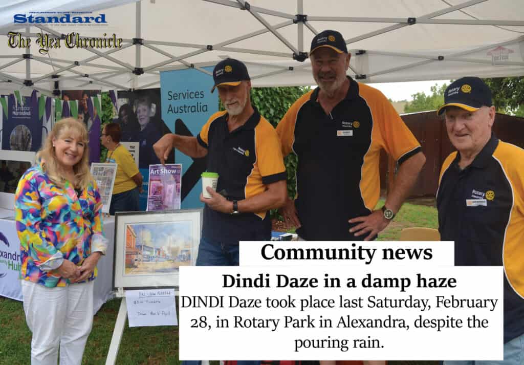 Dindi Daze in a damp haze