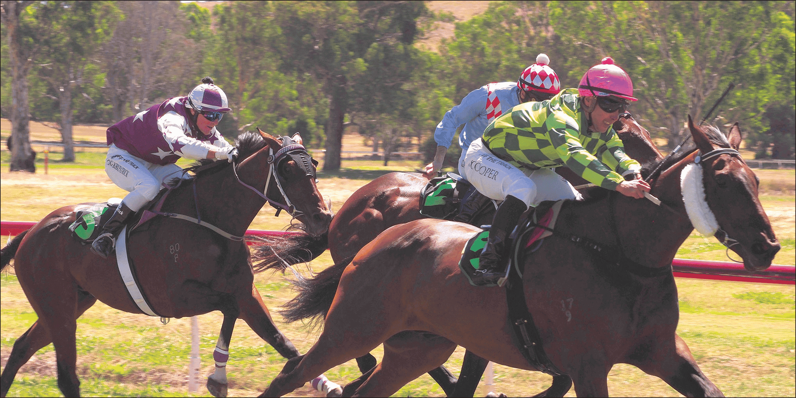 Horses racing towards the finish line. -MP