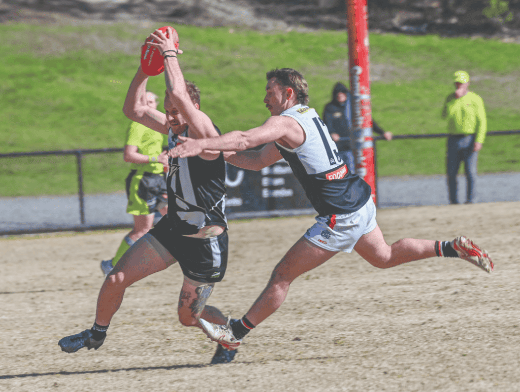 Reserves and seniors are the Rebels' big winners