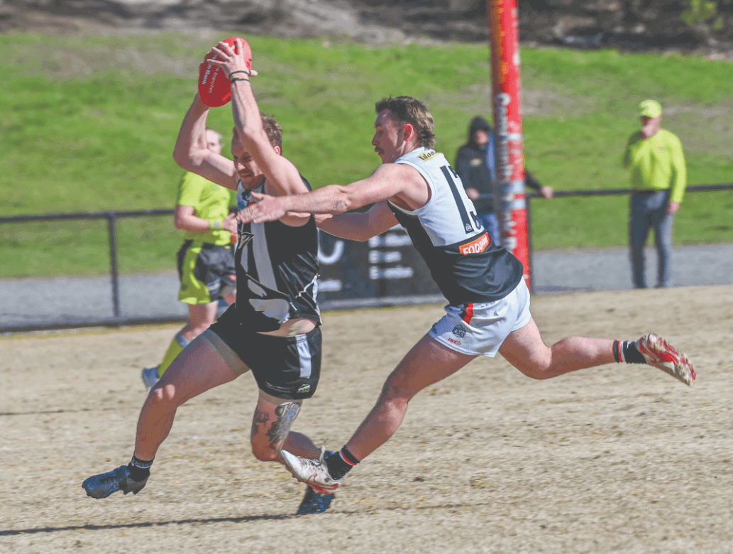 Reserves and seniors are the Rebels' big winners