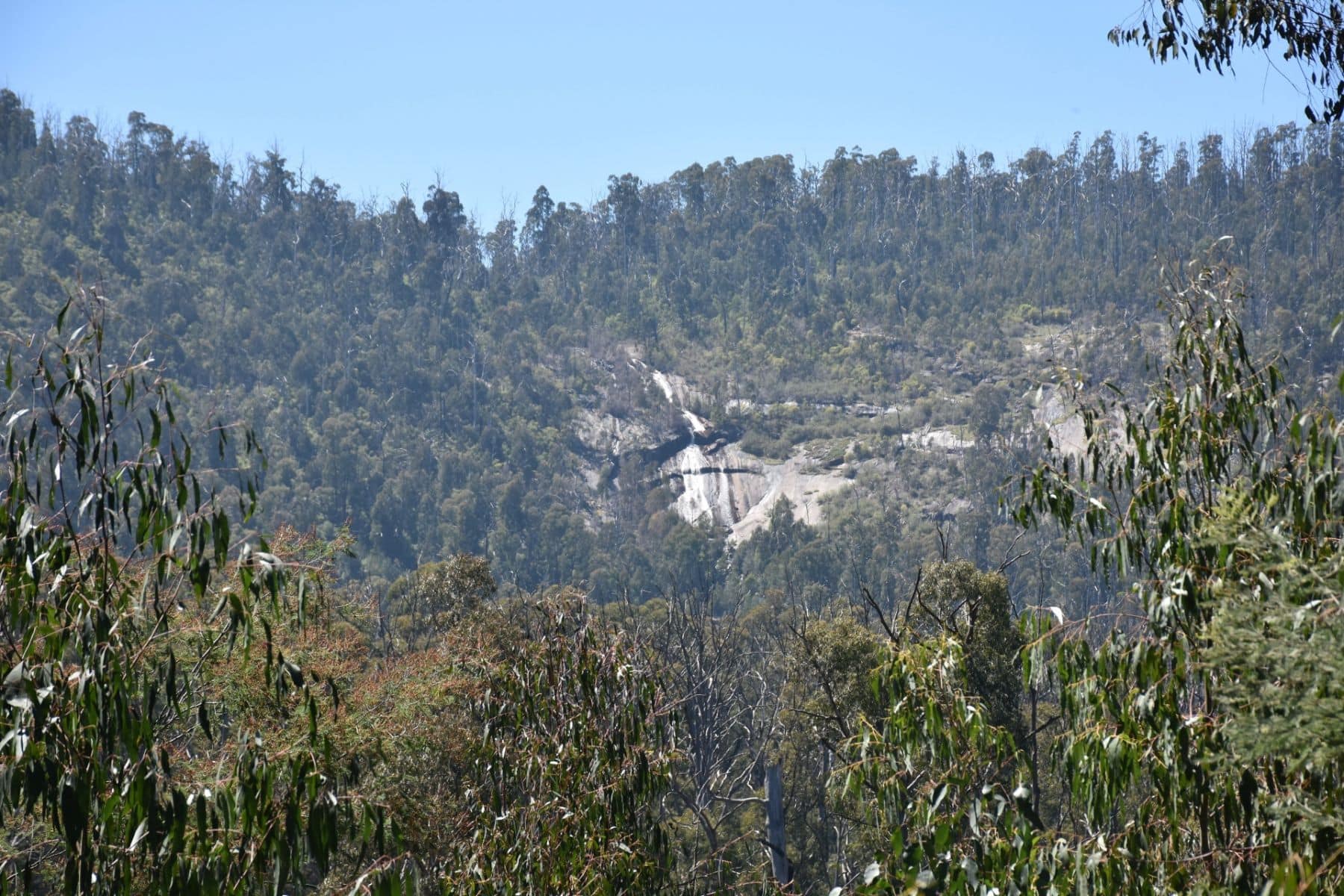 Wilhelmina Falls in Murrindindi Scenic Reserve