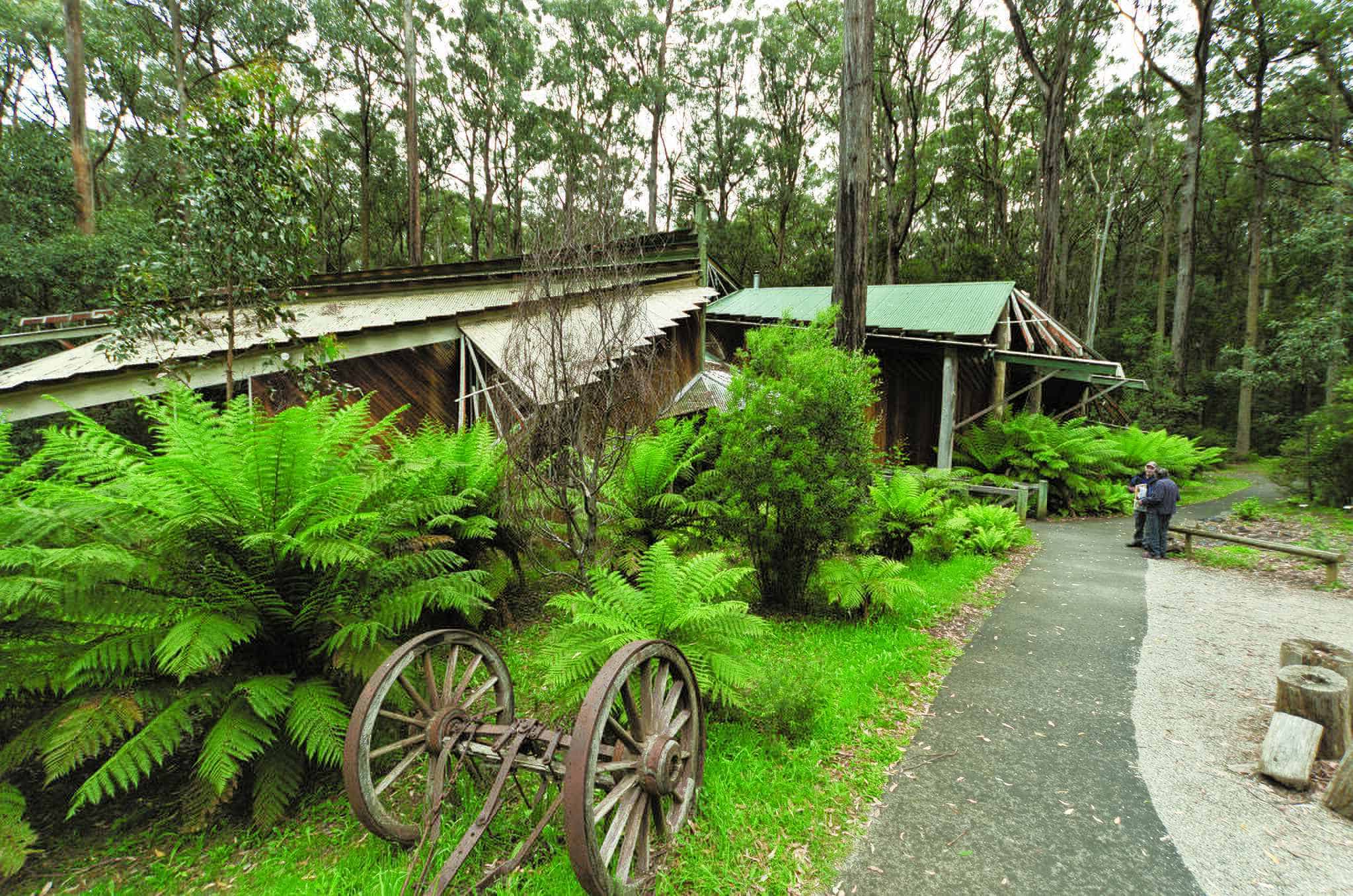 The Toolangi Forest Discovery Centre as it looked in 2011, prior to it falling into a state of disrepair.