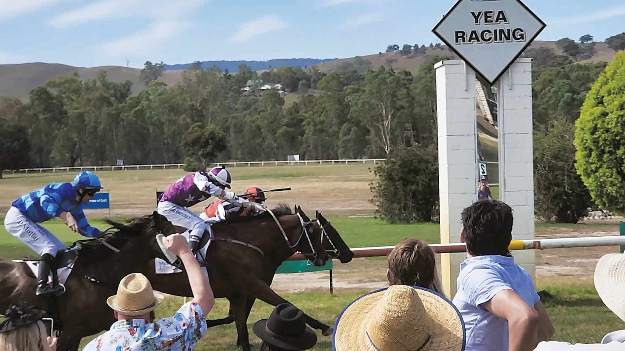 All Too Creedy (inside), trained by Don Dwyer and ridden by Sean Cooper wins from last year's winner Willetts (outside), ridden by Rob Kirkpatrick. The middle horse, Popeye The Sailor, was a head away third.