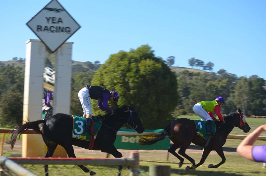 Final race meeting of season for Yea Race Club