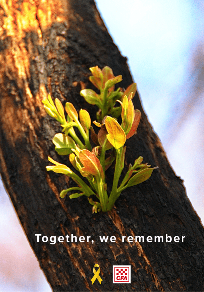 2022_2009 fires memorial copy_Together 2022_2009 fires memorial copy_Together