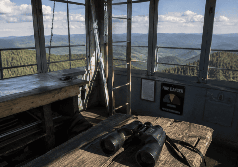 Remote Sensing Bushfire Detection project