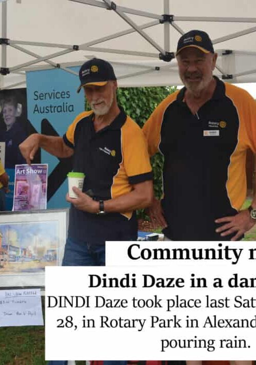 Dindi Daze in a damp haze