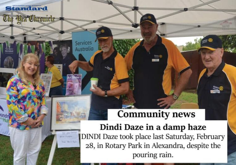 Dindi Daze in a damp haze