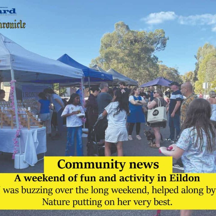 A weekend of fun and activity in Eildon