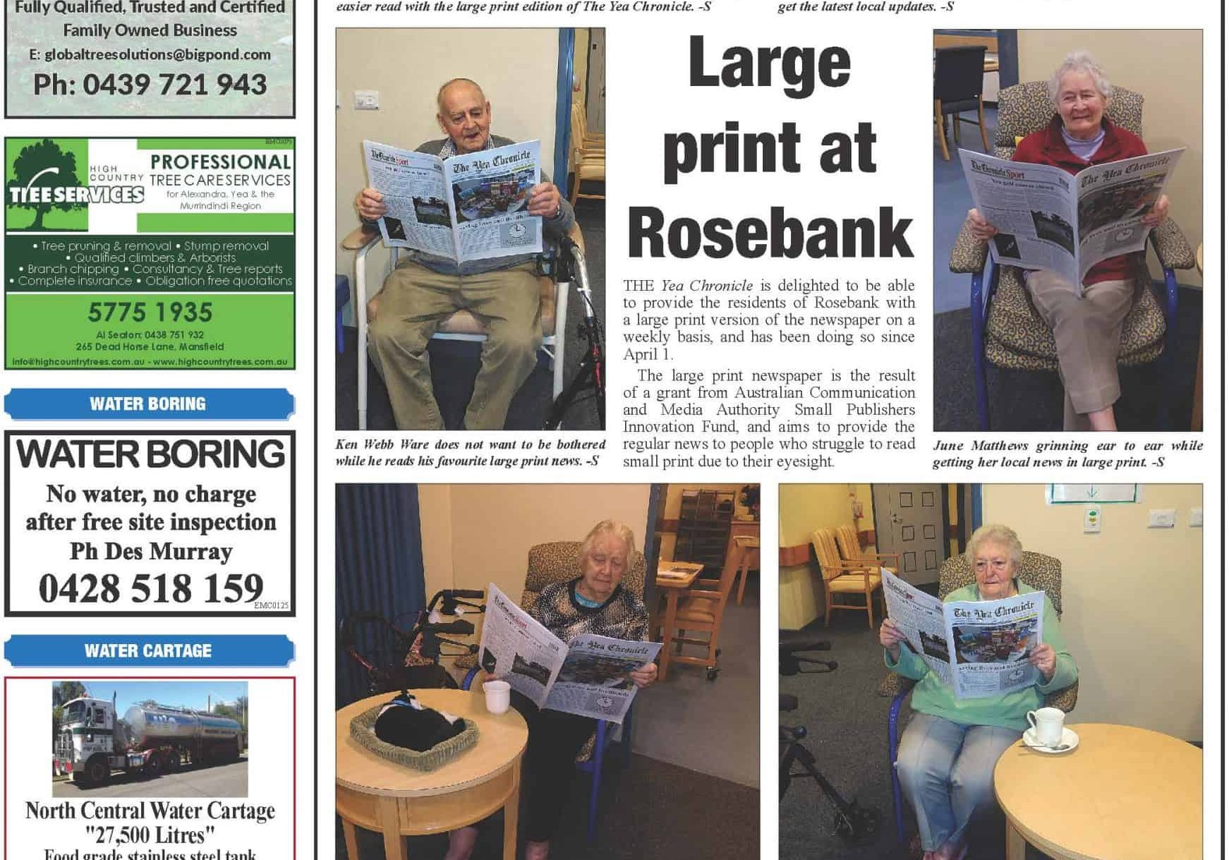 Large print Rosebank