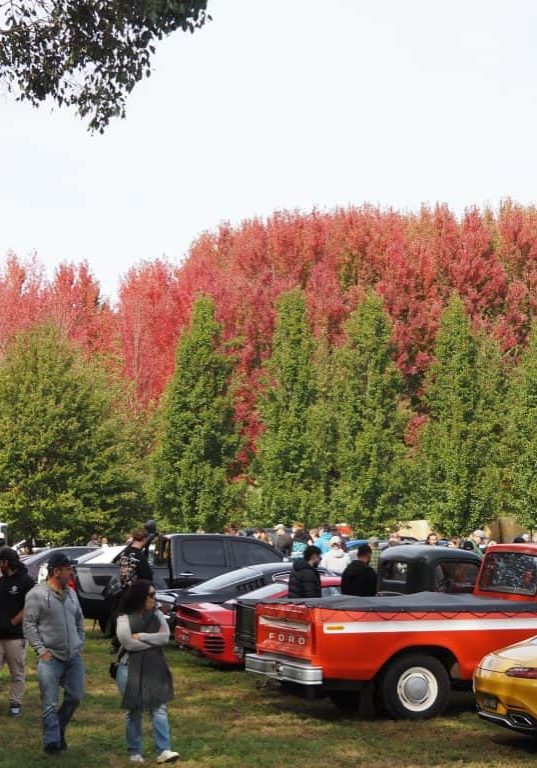 HIGHBALL Coffee and Cars was held for the fourth time at Erindale, between Buxton and Taggerty, on Sunday, April 19