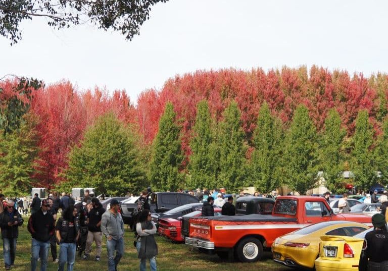 HIGHBALL Coffee and Cars was held for the fourth time at Erindale, between Buxton and Taggerty, on Sunday, April 19