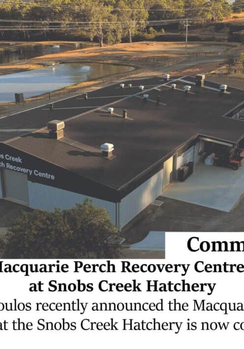 New Macquarie Perch Recovery Centre opens at Snobs Creek Hatchery