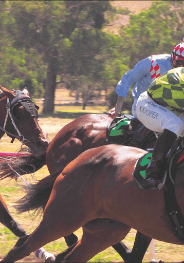 Horses racing towards the finish line. -MP