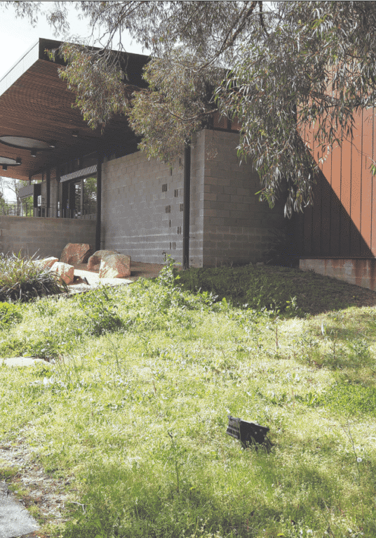 Police lawns to 'remain unkempt'