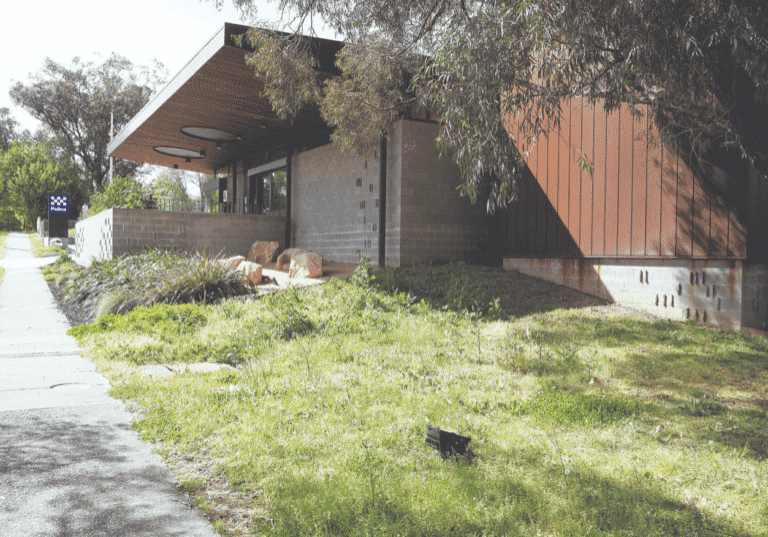 Police lawns to 'remain unkempt'