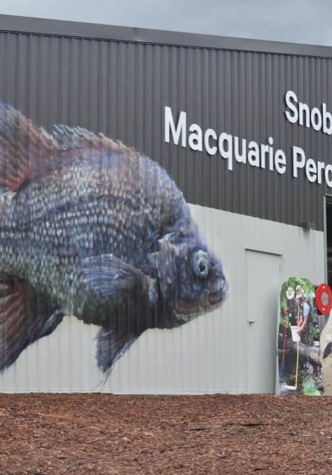 Snobs Creek Hatchery Open Day shows crowds around new Macquarie Perch Recovery Centre