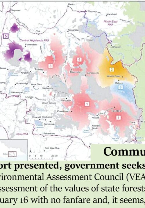 VEAC: report presented, government seeks to abolish