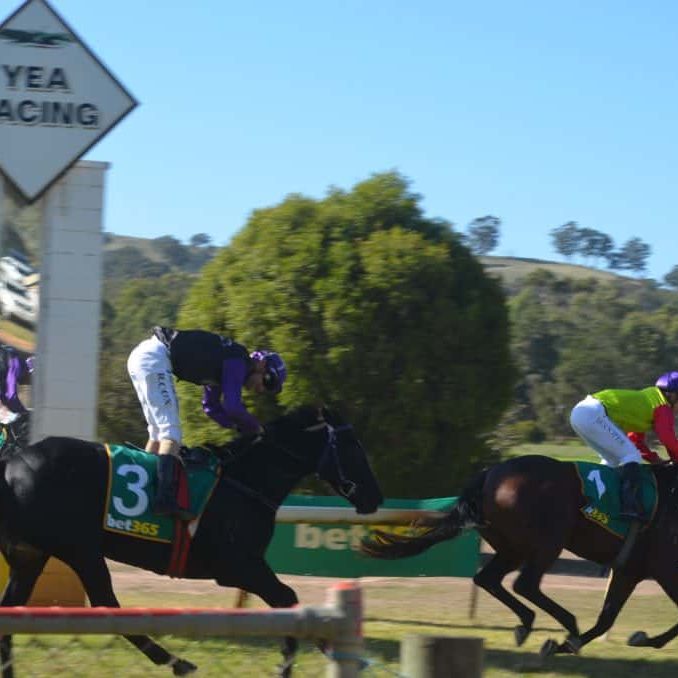 Final race meeting of season for Yea Race Club