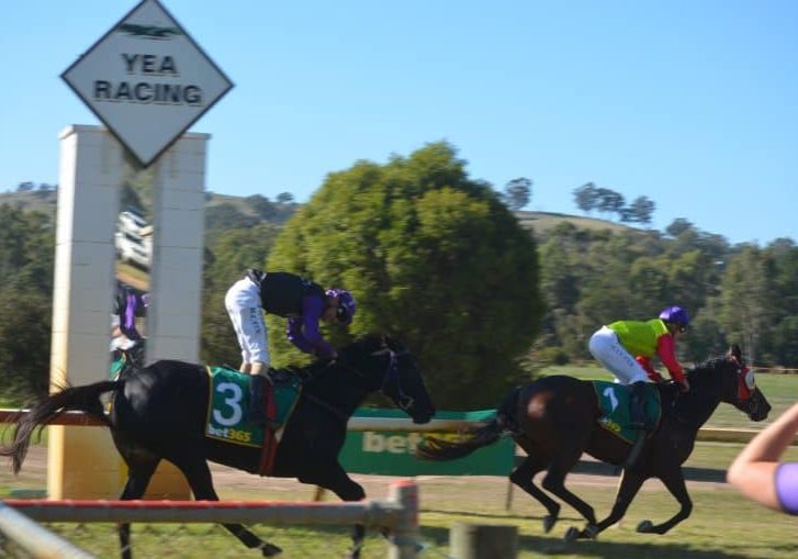 Final race meeting of season for Yea Race Club