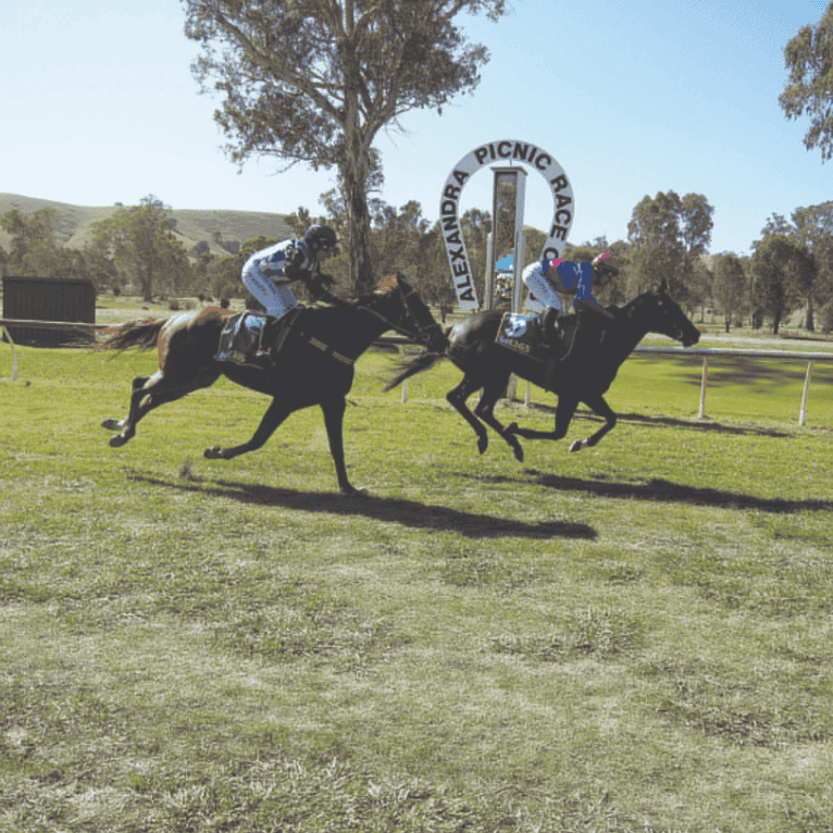 Alexandra Race Club season wraps with country and western races Alexandra Race Club season wraps with country and western races