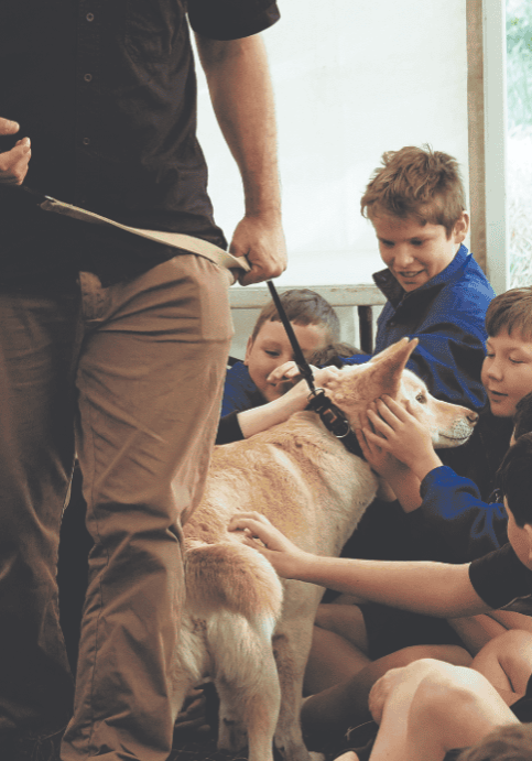 Kids Teaching Kids at the Yea Wetlands