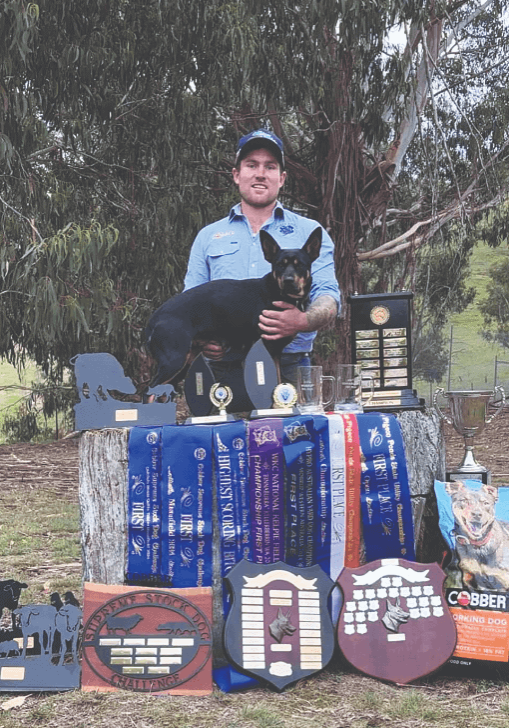 dogs darcy (1) Great achievement for man and dog in Fawcett