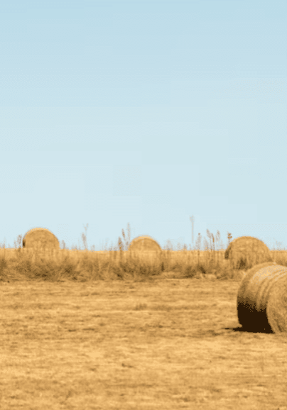 No clarity around drought support delays