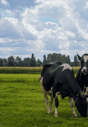 Council defends farm rate rises Council defends farm rate rises