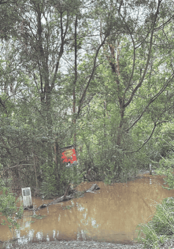 Interim 2022 flood report released