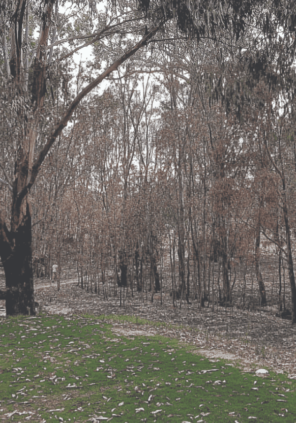 Alexandra Golf Club up early to beat high temperatures