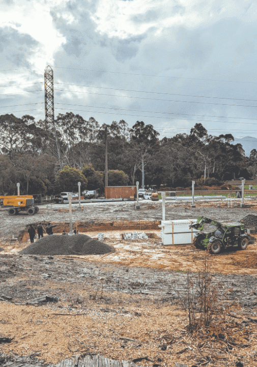 VFA building a bright future for native Macquarie perch