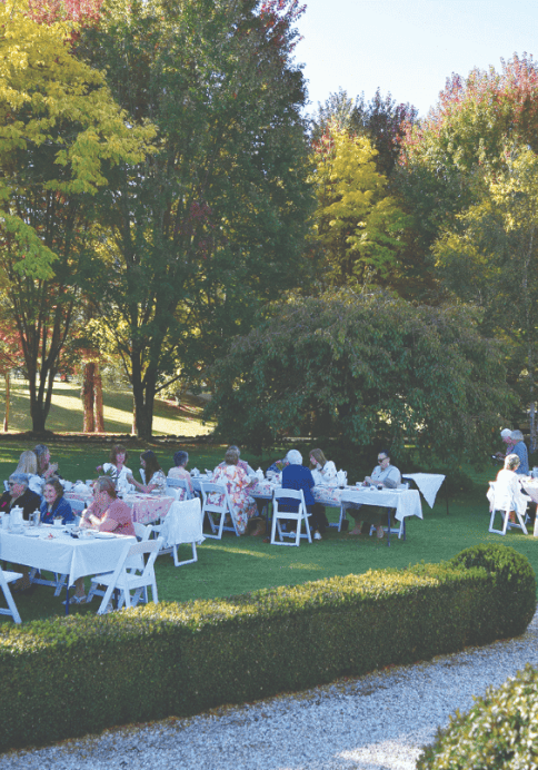 The high tea was held among the deciduous trees at Morning Mist. The high tea was held among the deciduous trees at Morning Mist.