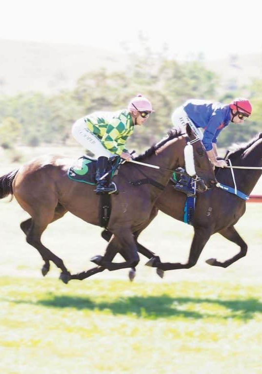 The first race of Alexandra Cup was full of action. The winner was The Oyster. The first race of Alexandra Cup was full of action. The winner was The Oyster.