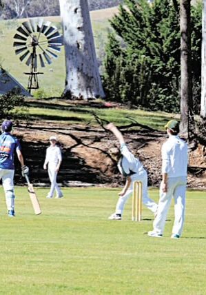 Merton cricket report