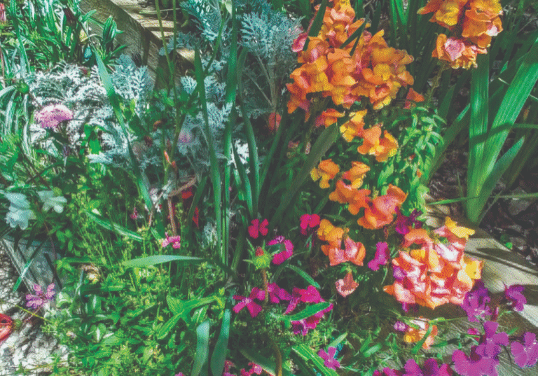 Update on the planter boxes