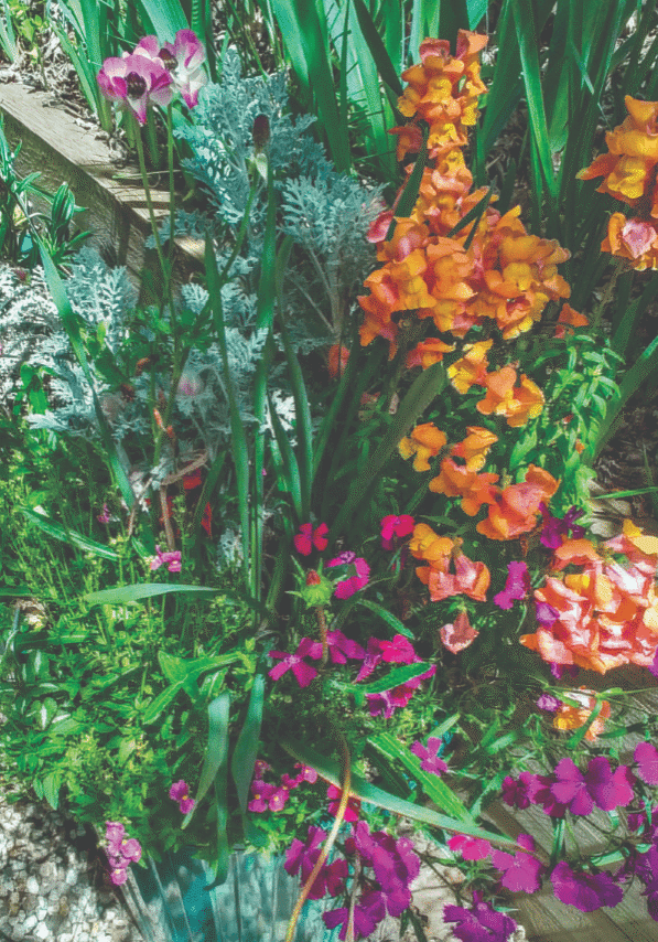 Update on the planter boxes