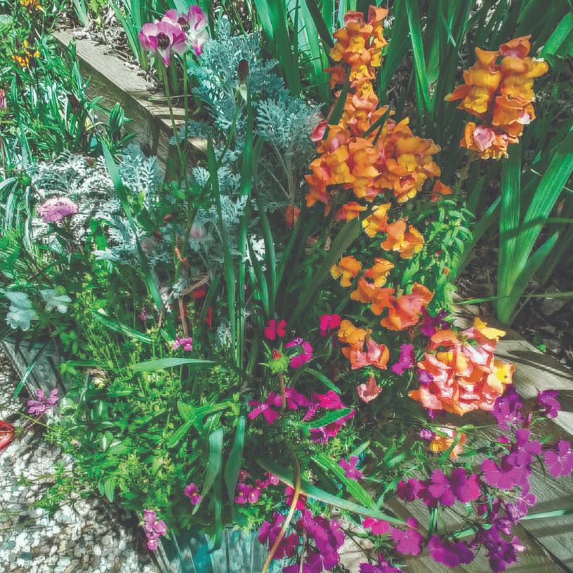 Update on the planter boxes