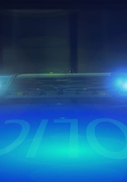 police police