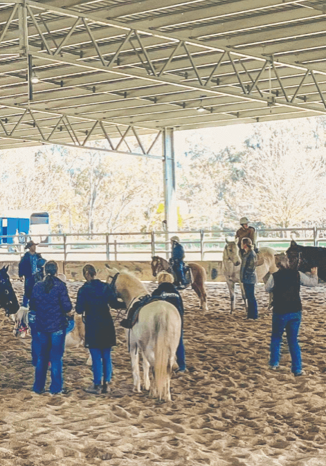 Alexandra Pony Club saddles up for team penning fun Alexandra Pony Club saddles up for team penning fun
