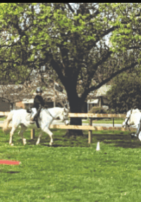 September rally brings fun and excitement to pony club September rally brings fun and excitement to pony club