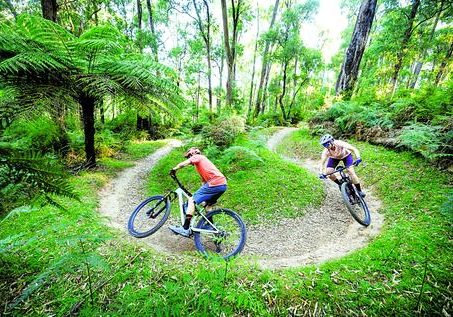 The plan to draw cyclists to Murrindindi Shire
