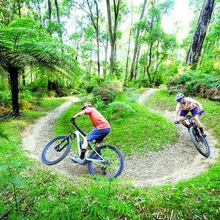 The plan to draw cyclists to Murrindindi Shire
