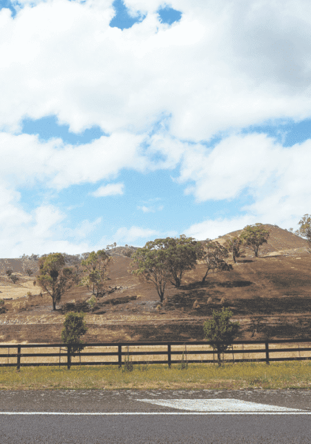 Ruffy: A community decimated but surviving