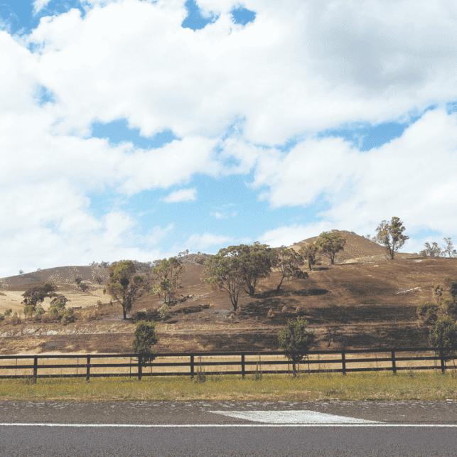 Ruffy: A community decimated but surviving