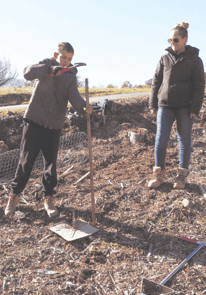 Reaping what you sow in Eildon Reaping what you sow in Eildon