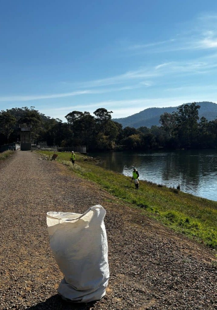 Alert about weed toxic for dogs at Eildon Pondage