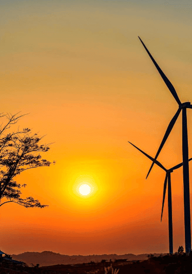Wind farm opposition group responds to Fera article Wind farm opposition group responds to Fera article