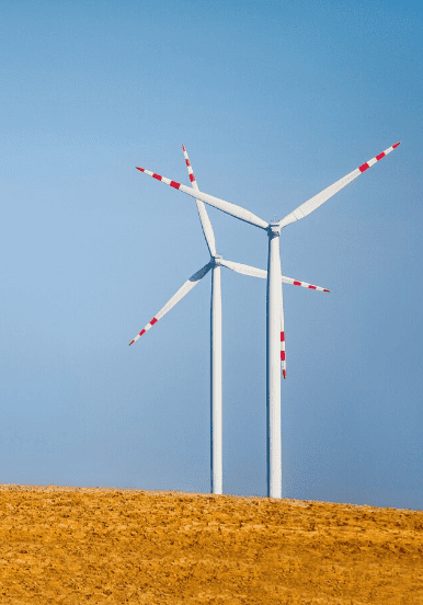 wind farm wind farm