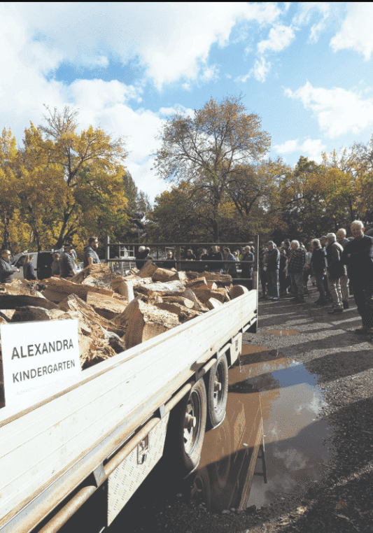 Stellar wood auction for the community